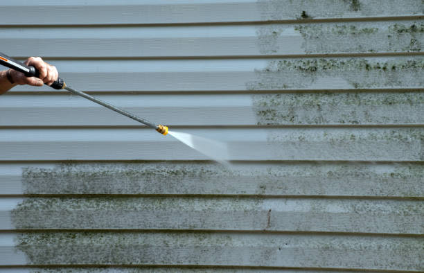 Best Building Exterior Washing  in Varnville, SC